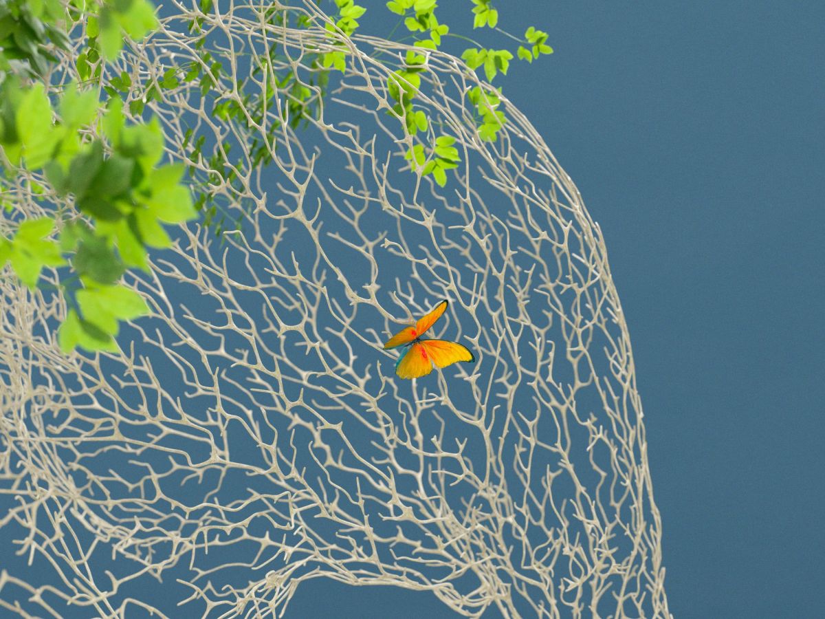 Underwater ocean scene from a conservation education program